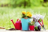 3月ガーデニング「日陰の庭」で春を彩る「1000円前後のプランターカバー」3選