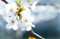 3月終盤の相場を読む：国内景気対策への期待感で注目されるのは？