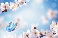 【麻羽たんぽぽの2021年3月12星座占い】金運をよくするために、今「やること」「やめること」