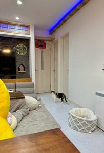 「わーん、わんわーん」と鳴く猫　切ない理由に思わず共感……！