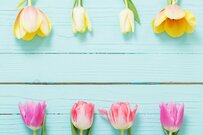 【年金収入】厚生年金が月額20万円未満は何割？4月は2ヶ月ぶりの年金支給月