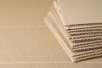 自宅に届いた「引越し用の段ボール」　荷造りが進まない猫の行動にホッコリ