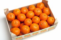 冬を迎えると実感する「我が家の後悔ポイント」注文住宅で考えておくべき四季のトラブル