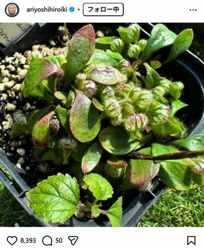 有吉弘行のInstagram投稿