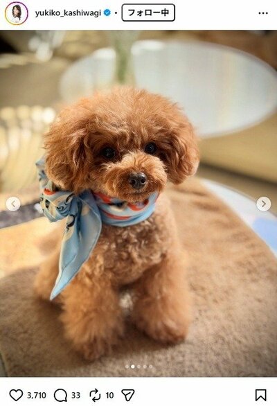 柏木由紀子のInstagram投稿