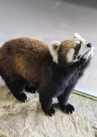 愛媛県立とべ動物園