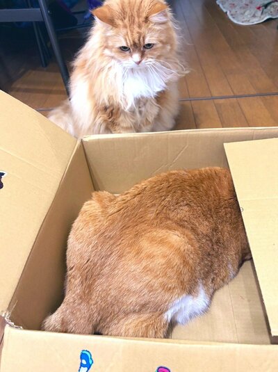 ふうたくんの近くには…まめちゃんの姿が！