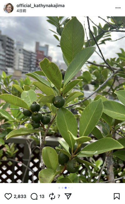 キャシー中島のInstagram投稿