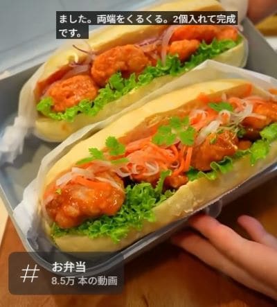 投稿動画のワンシーン