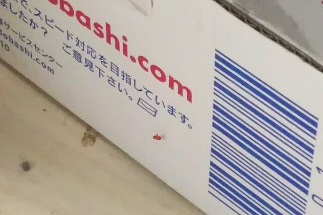 床へ落とした模型部品を探していたら… 発見された信じがたい場所に「妖怪パーツ隠しが出たか」