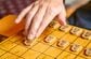 江戸時代に考案された「超巨大将棋」のスケールに笑ってしまう　独特すぎる駒に「全然覚えられなくて草」