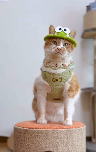 出所：＠monburan_sanpo