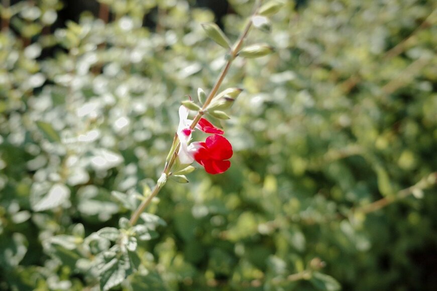 Yeoreum/istockphoto.com