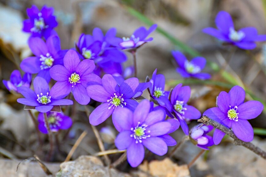 Jonas Rönnbro/istockphoto.com