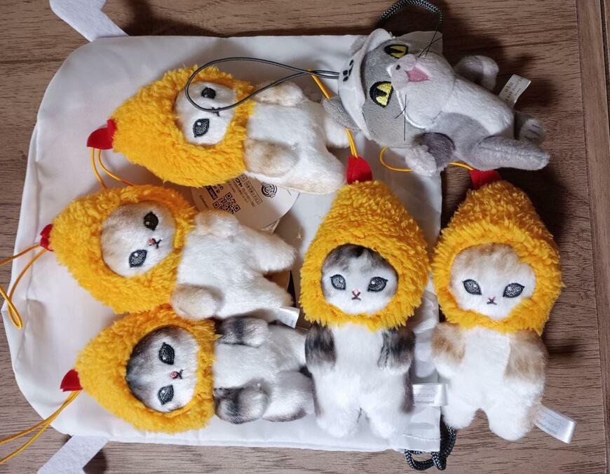 筆者撮影（ダイソー、底マチ付き巾着　メジェド柄）