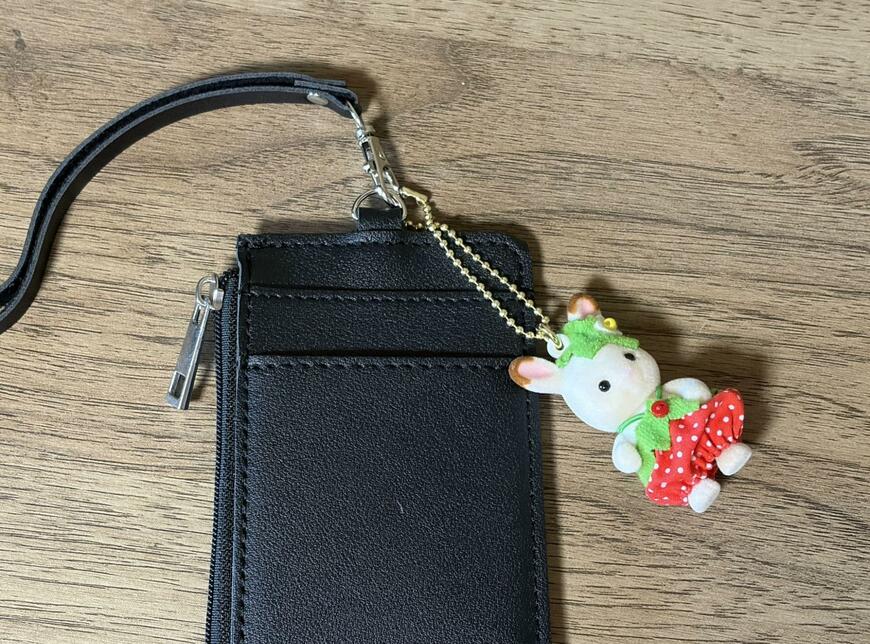 筆者撮影（ダイソー、レザー調 小銭入れ付パスケース）