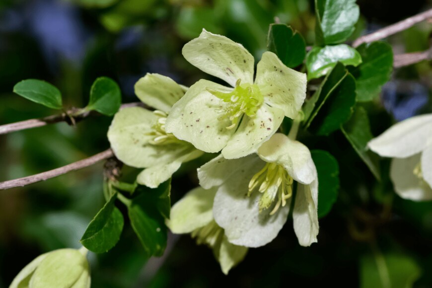 Akif CUBUK/shutterstock.com