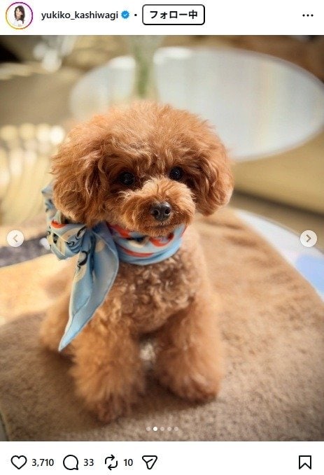 出所：柏木由紀子のInstagram（＠yukiko_kashiwagi） 参照日：2026年1月21日 