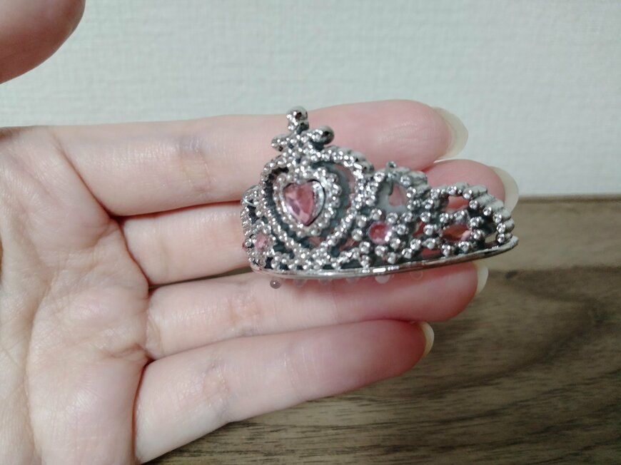 筆者撮影（セリア、ペット用ティアラ）