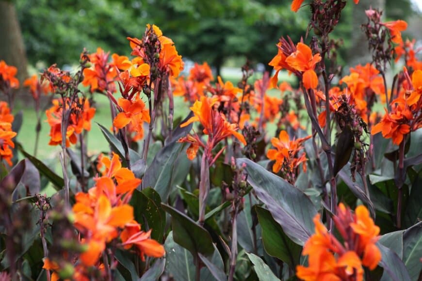 Warooy/shutterstock.com