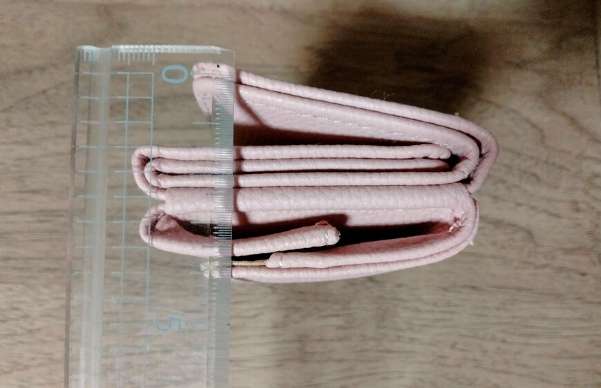 筆者撮影（宝島社、開運 三つ折り財布 2023）