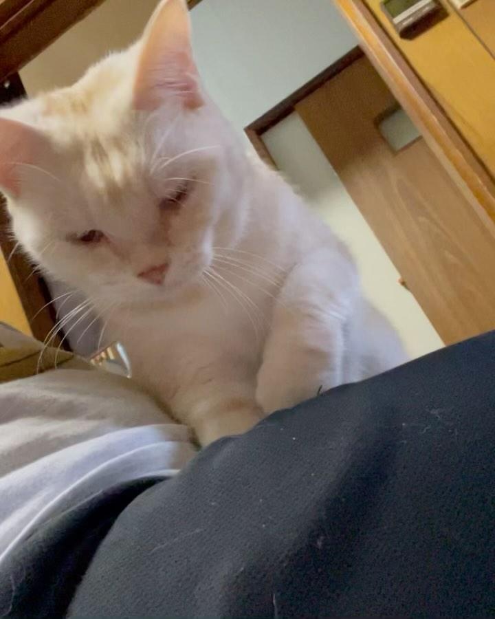 出所：@mimitti0930