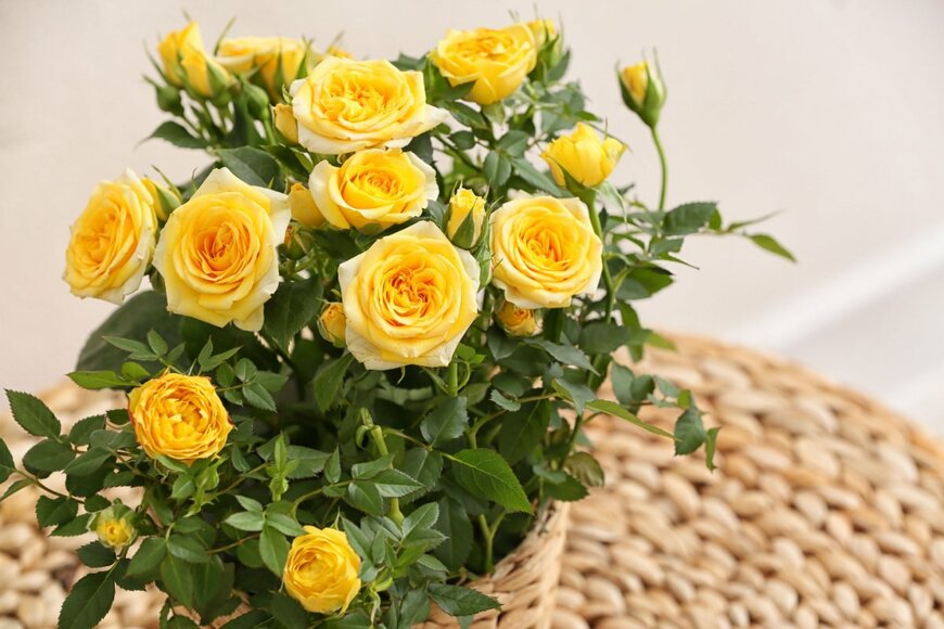 Pixel-Shot/shutterstock.com