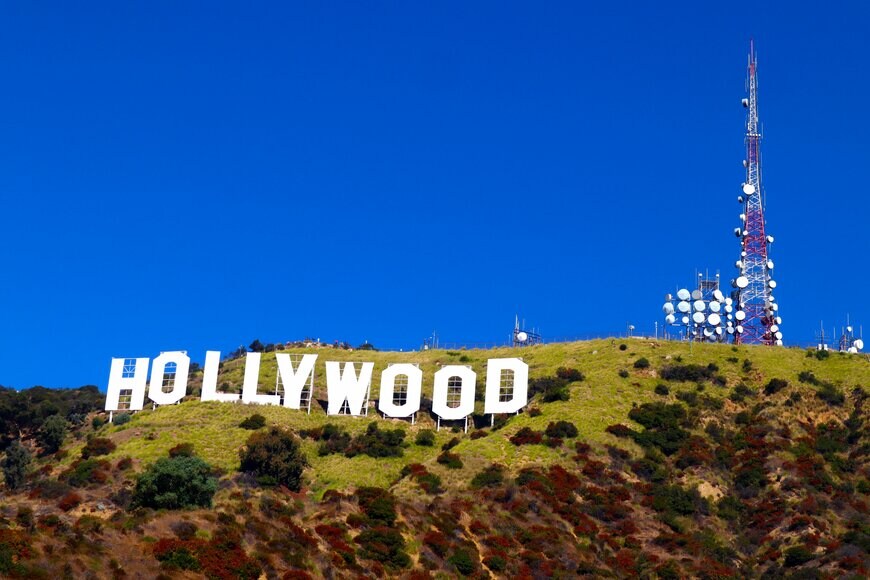 Walter Cicchetti/shutterstock.com