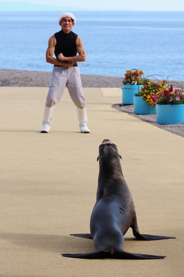 出所：桂浜水族館