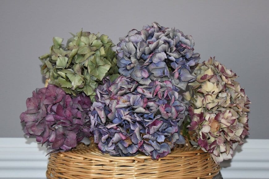 elle1973/shutterstock.com