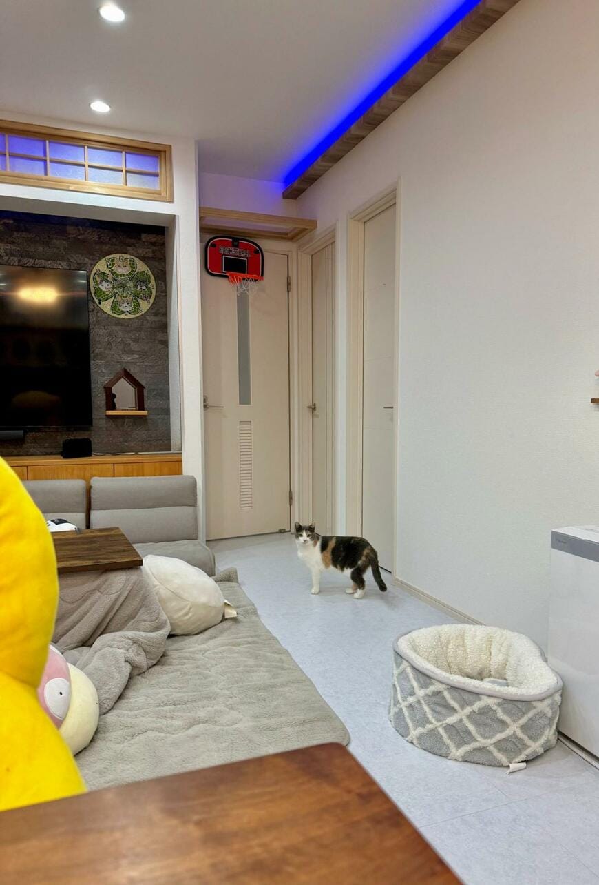 「わーん、わんわーん」と鳴く猫　切ない理由に思わず共感……！