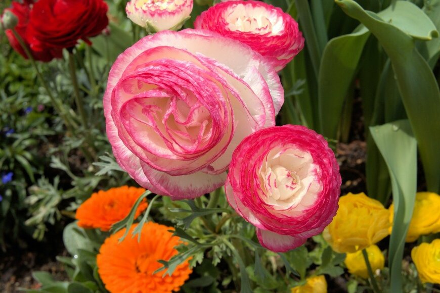 Sungsu Shin/istockphoto.com