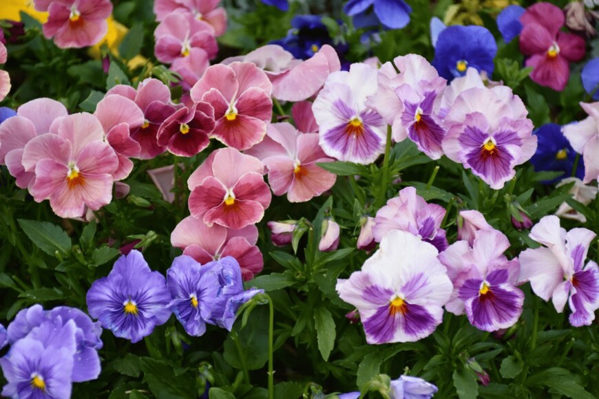 Sean Davis/istockphoto.com