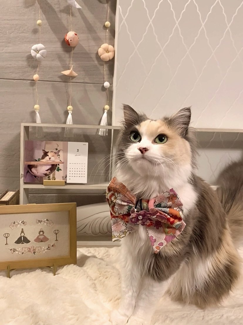 出所：@Erin45805941