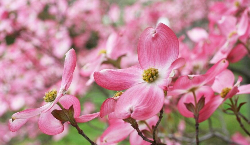 db_beyer/istockphoto.com