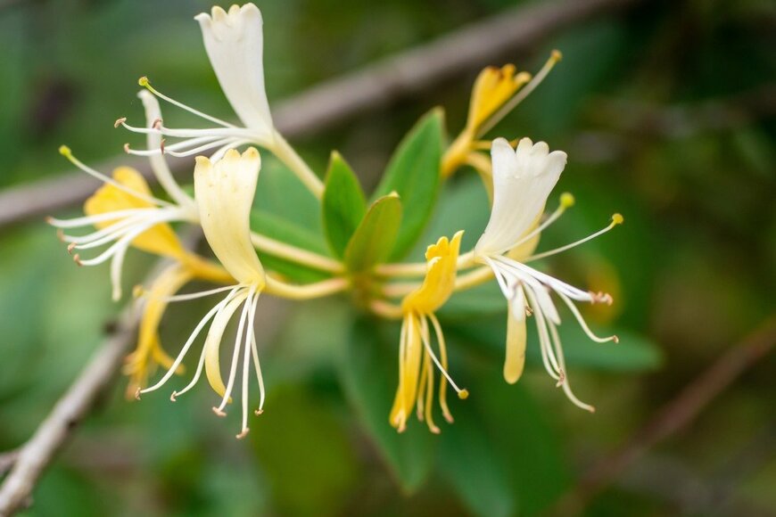 bee_photobee/istockphoto.com