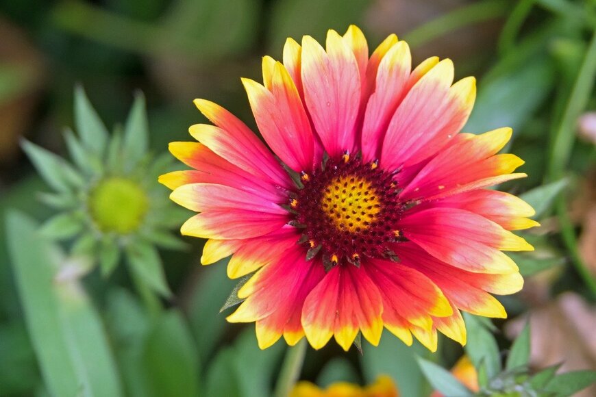 kama71/istockphoto.com