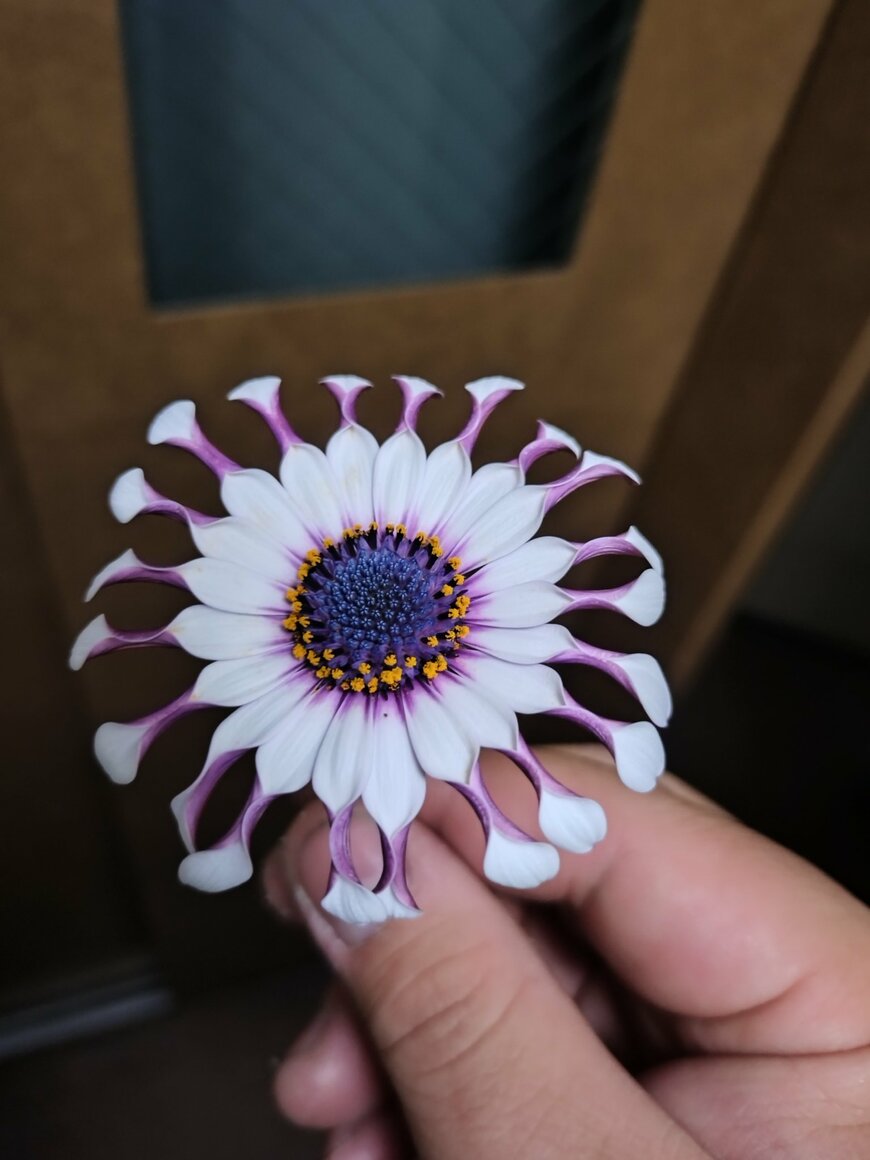 出所：@callduck_nosuke