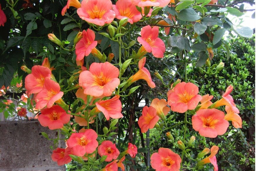 meikoKODAKA/istockphoto.com