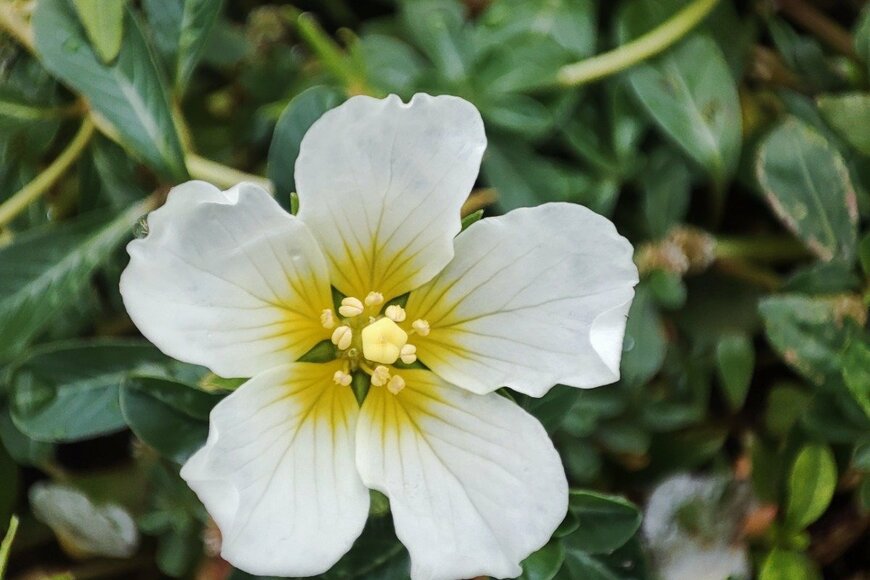 Wirestock/istockphoto.com