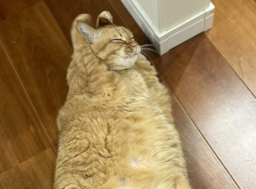 出所：@kagisuzu0531