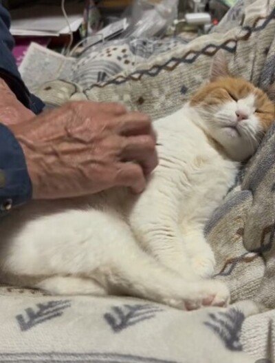 出所：@mike_noritama