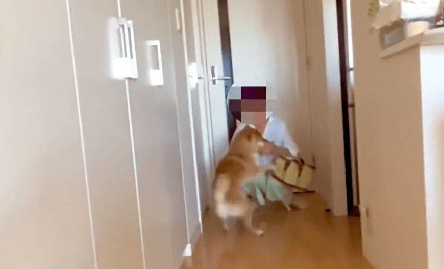 出所：@shibayuusha