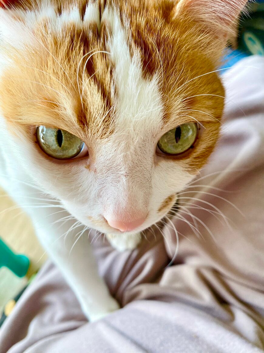 出所：@luna7taka9