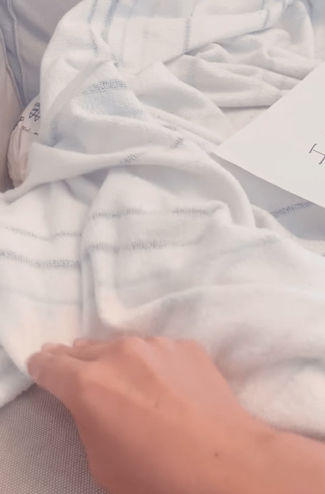 毛布の下で寝ているもももちゃん