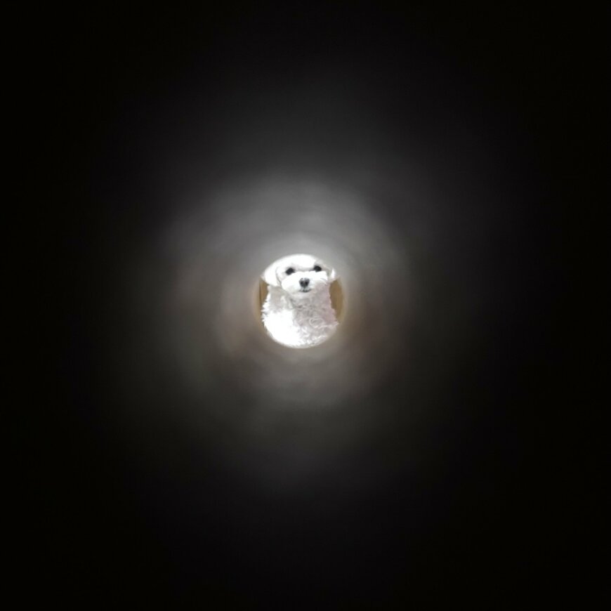 きょとん顔がたまらない!