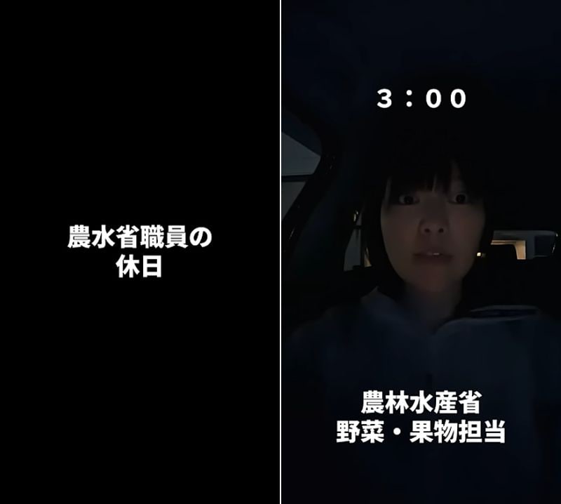 農林水産省職員