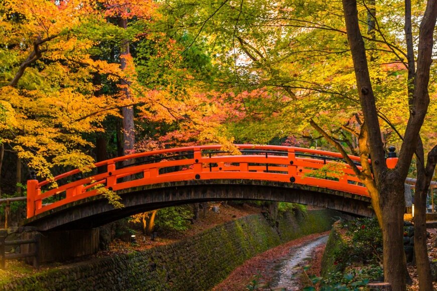 北野天満宮の御土居のもみじ苑