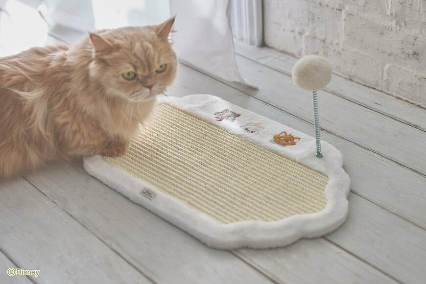 株式会社クリエイティブヨーコ　公式サイト