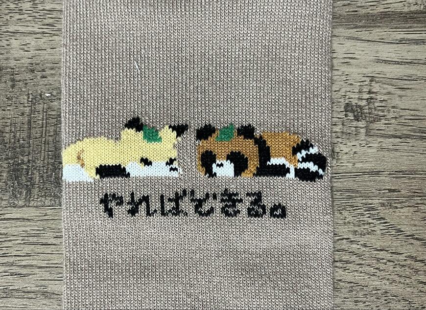 セリア、レディースショート丈 やればできる商品画像